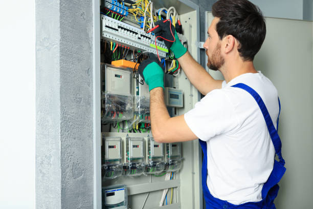 Best Electrical System Inspection  in Lawton, MI